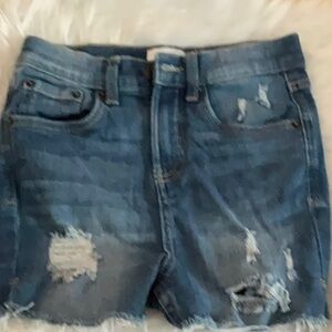 True Craft Distressed Denim Shorts